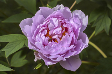 Similar image 22763506