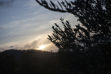 Similar image 22749200