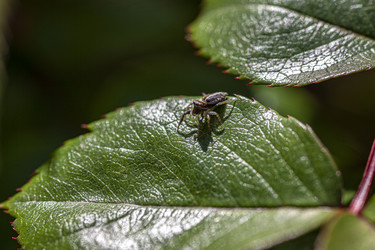 Similar image 22764121