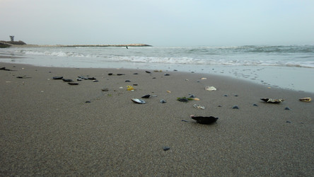 Similar image 22767142