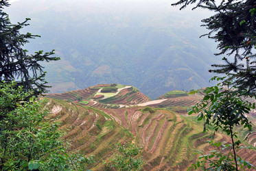 Similar image 22653840
