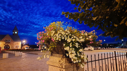 Similar image 22646033