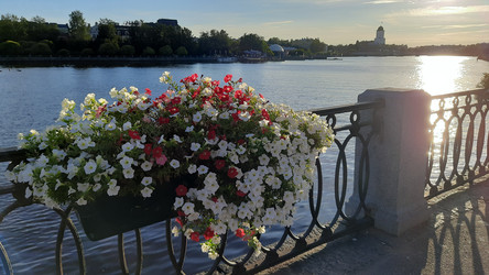 Similar image 22646034