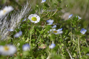 Similar image 22748794