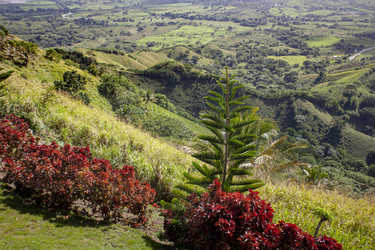 Similar image 22749082