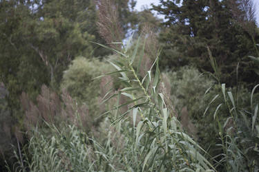 Similar image 22749956