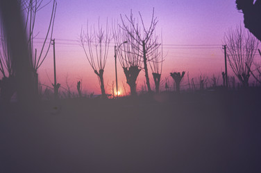 Similar image 22763970