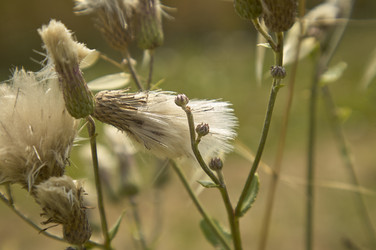 Similar image 22767067