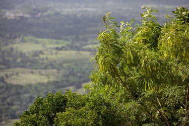 Similar image 22767104