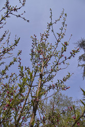 Similar image 22756127
