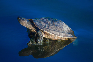 Similar image 22759983