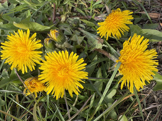 Similar image 22650373