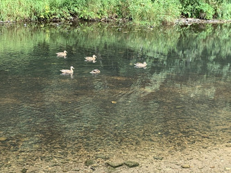 Similar image 22650379