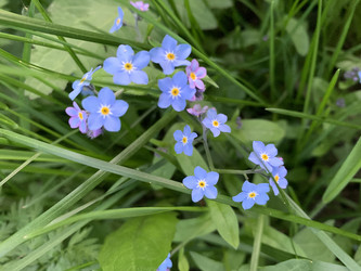 Similar image 22650380