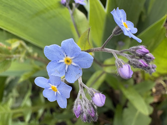 Similar image 22650402
