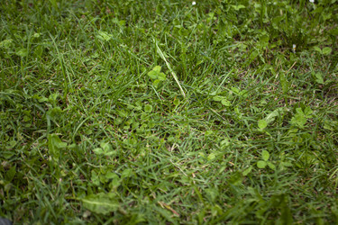 Similar image 22749591