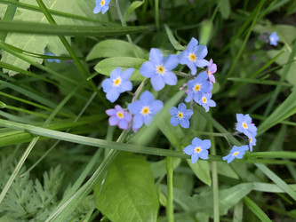 Similar image 22650363