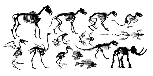 Similar image 22653804