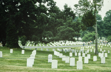 Similar image 22750469