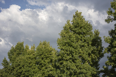 Similar image 22763899