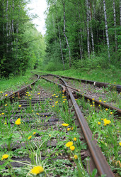 Similar image 22713679