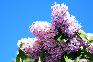 Similar image 22713722
