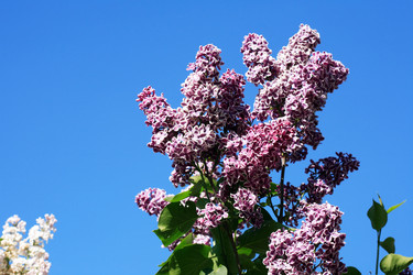 Similar image 22713737