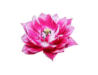Similar image 22713901