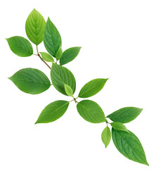 Similar image 22713481