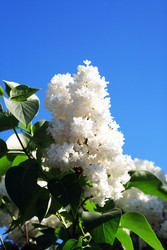 Similar image 22713575