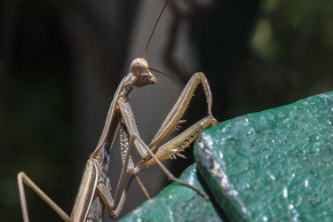 Similar image 22756022