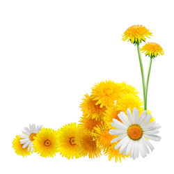 Similar image 22713810