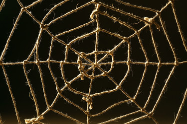 Similar image 22713549