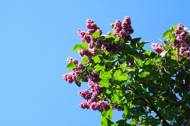 Similar image 22713592