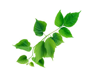 Similar image 22713865