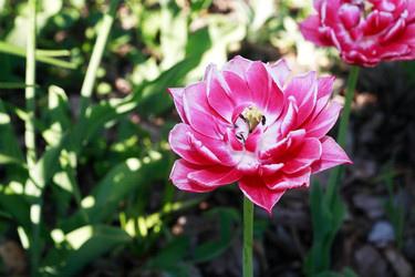 Similar image 22713908