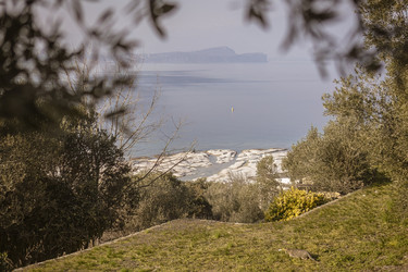Similar image 22746620