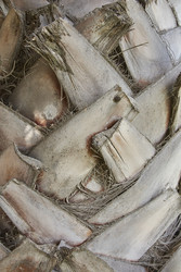 Similar image 22748334