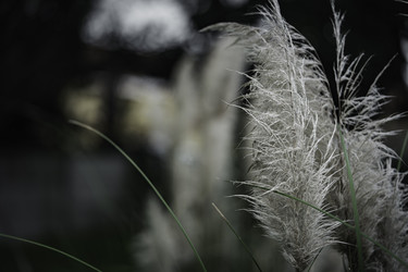 Similar image 22748930