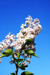 Similar image 22713614