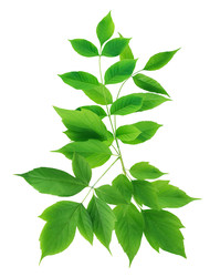 Similar image 22713669