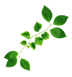 Similar image 22713670