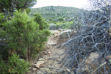 Similar image 22766955