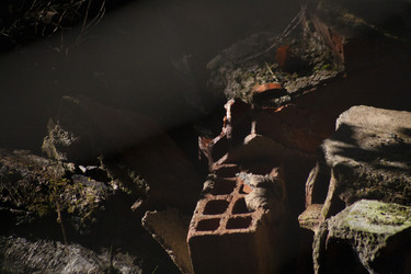 Similar image 22767217