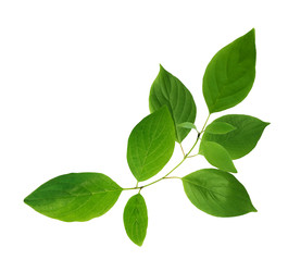 Similar image 22713850