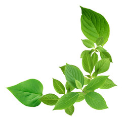 Similar image 22713923