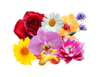 Similar image 22714014