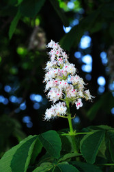 Similar image 22713522