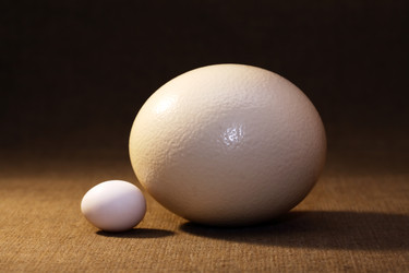 Similar image 22713524