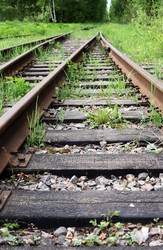 Similar image 22713536